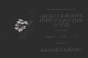 hantaran font, a Script Font by Mariyana (Thumbnail 5 of 5)