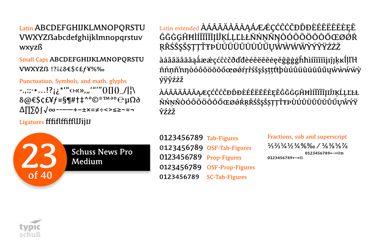 SchussNewsProMedium No.23 (1 Font) preview 3