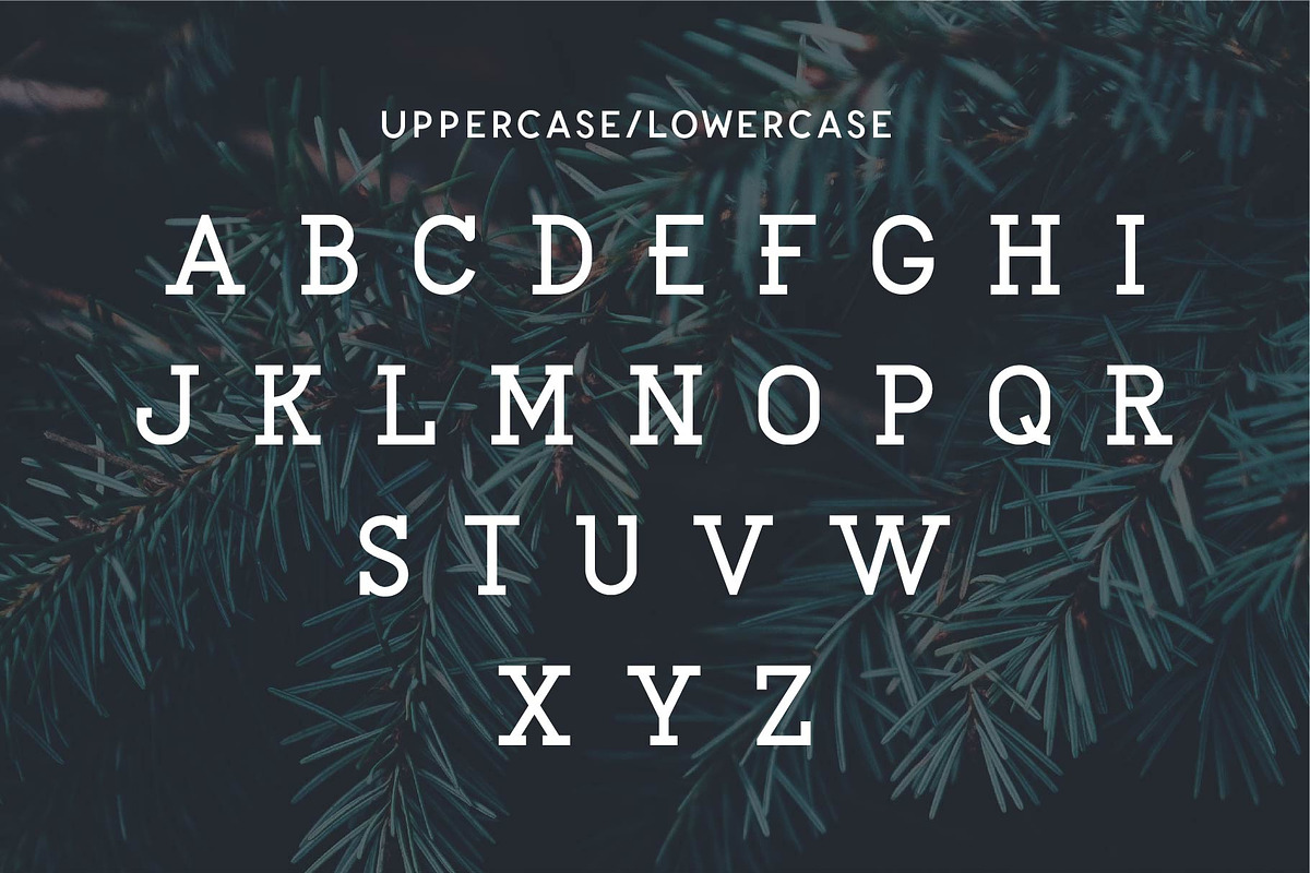 EXPLORER - Sailor Original Typeface, a Slab Serif Font by NEWFLIX.Bro (Photo 6 of 13)