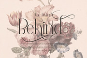 Relyagih Modern Serif Font, a Serif Font by Storytype Studio (Thumbnail 9 of 15)