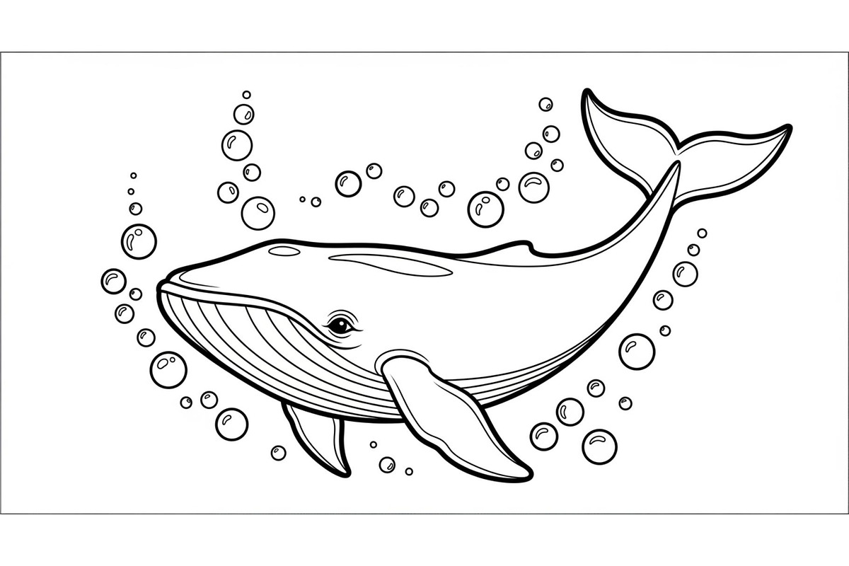 Whale Line Art Vector Bundle, an Illustration by yasushie (Photo 37 of 51)