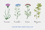 20 watercolor herbs set, a Food Illustration by Chelovector (Thumbnail 2 of 3)