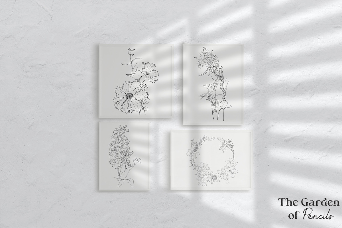 Pencil-drawn flowers, a Decorative Illustration by Damian Roh (Photo 11 of 21)