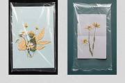 Plastic Package Wrap Effect Overlays, a Brushes & More by PhotoSpirit (Thumbnail 4 of 9)