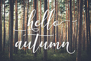 Kissita Script, a Script Font by Barland Design (Thumbnail 2 of 10)