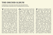 Victorian Orchid, a Serif Font by Dharma Type (Thumbnail 6 of 12)