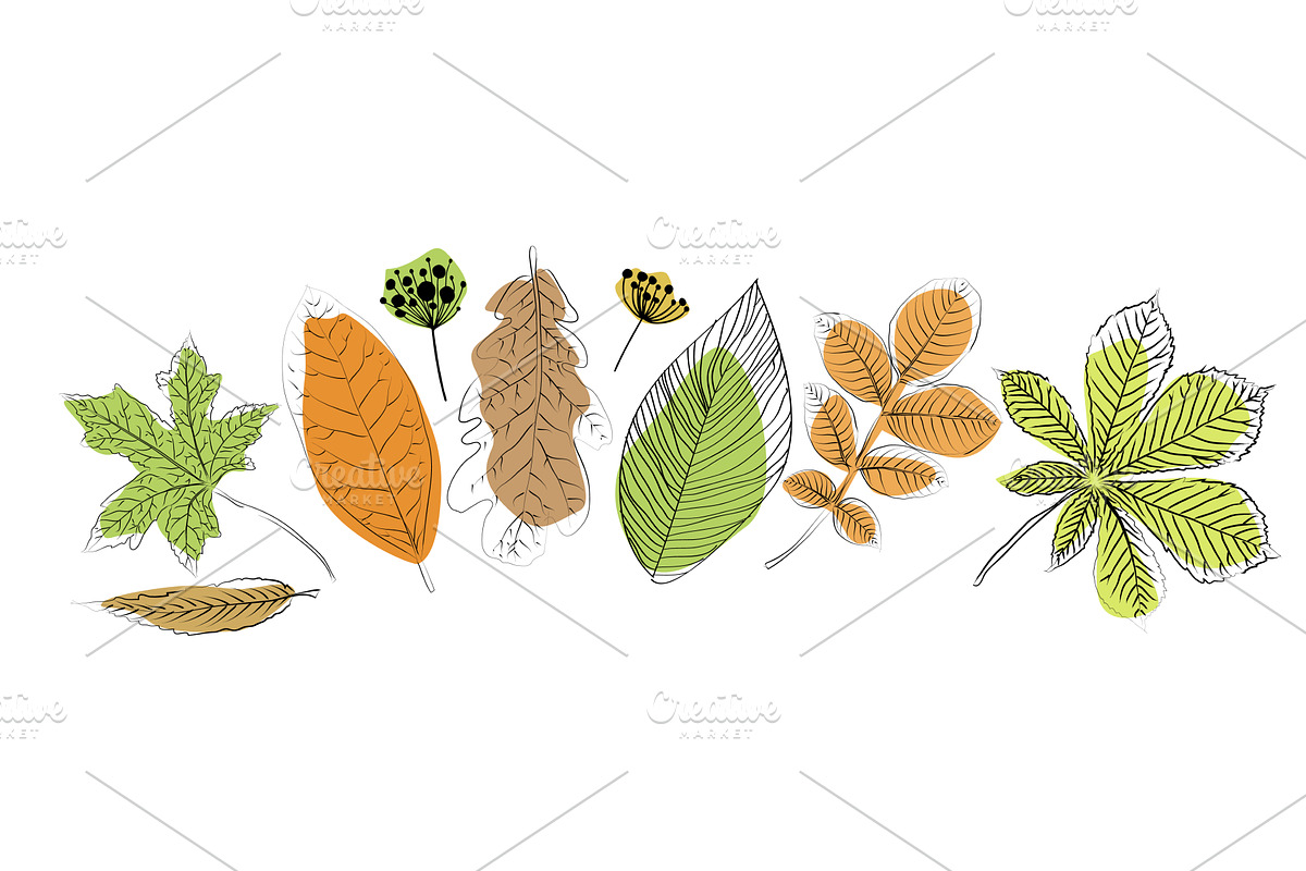 set of autumn leaves. hand drawn, an Object Illustration by Nenahliadava Design