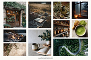 Mother Earth Stock Images Vol 2, a Business Photo by The Brand Alchemists (Thumbnail 4 of 10)