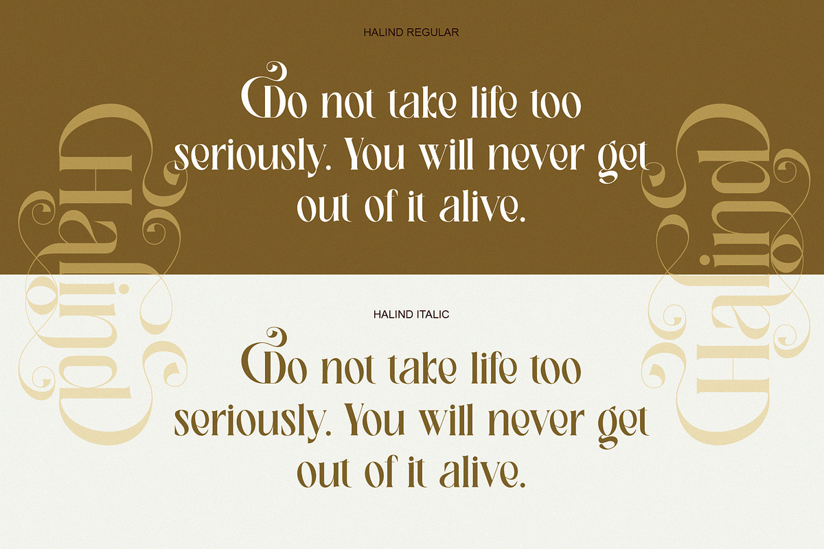 Halind Modern Elegant Serif, a Serif Font by Alfinart (Photo 2 of 10)