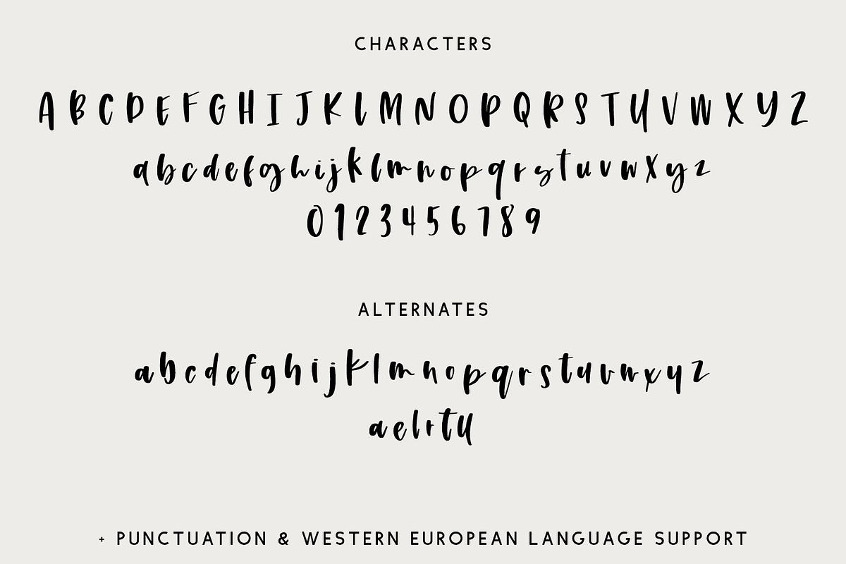 Nightwatch Script, a Script Font by Beck McCormick (Photo 10 of 10)