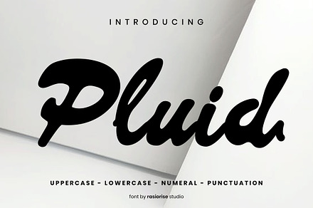 Pluid a Script Font, a Script Font by Rasiorise Studio