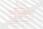 Silver Sands - Signature Font, a Script Font by Megi Satyo Widodo (Thumbnail 14 of 15)