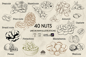 Nuts Line Art + Procreate, a Food Illustration by Skliarova