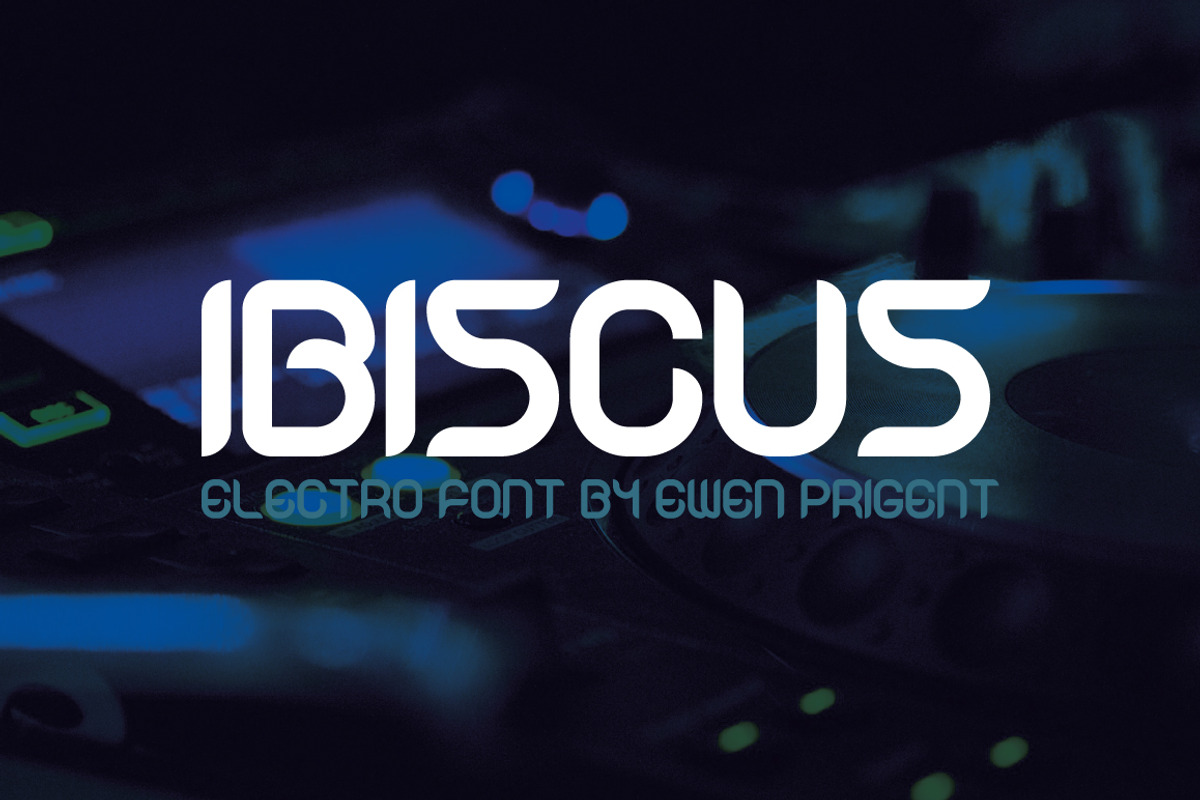 Ibiscus, a Handwritten Font by La Boite Graphique (Photo 1 of 4)