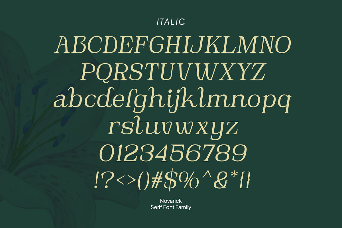 Novarick, a Serif Font by din-studio.com (Photo 11 of 16)