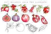 Juicy pomegranate, an Object Graphic by artdreamer (Thumbnail 5 of 9)