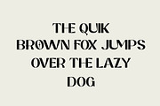 Canuas - Modern Serif Font, a Sans Serif Font by Cut Story (Thumbnail 9 of 13)