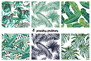 Leopard, zebra & palm leaves, an Animal Illustration by OJardin (Thumbnail 5 of 5)