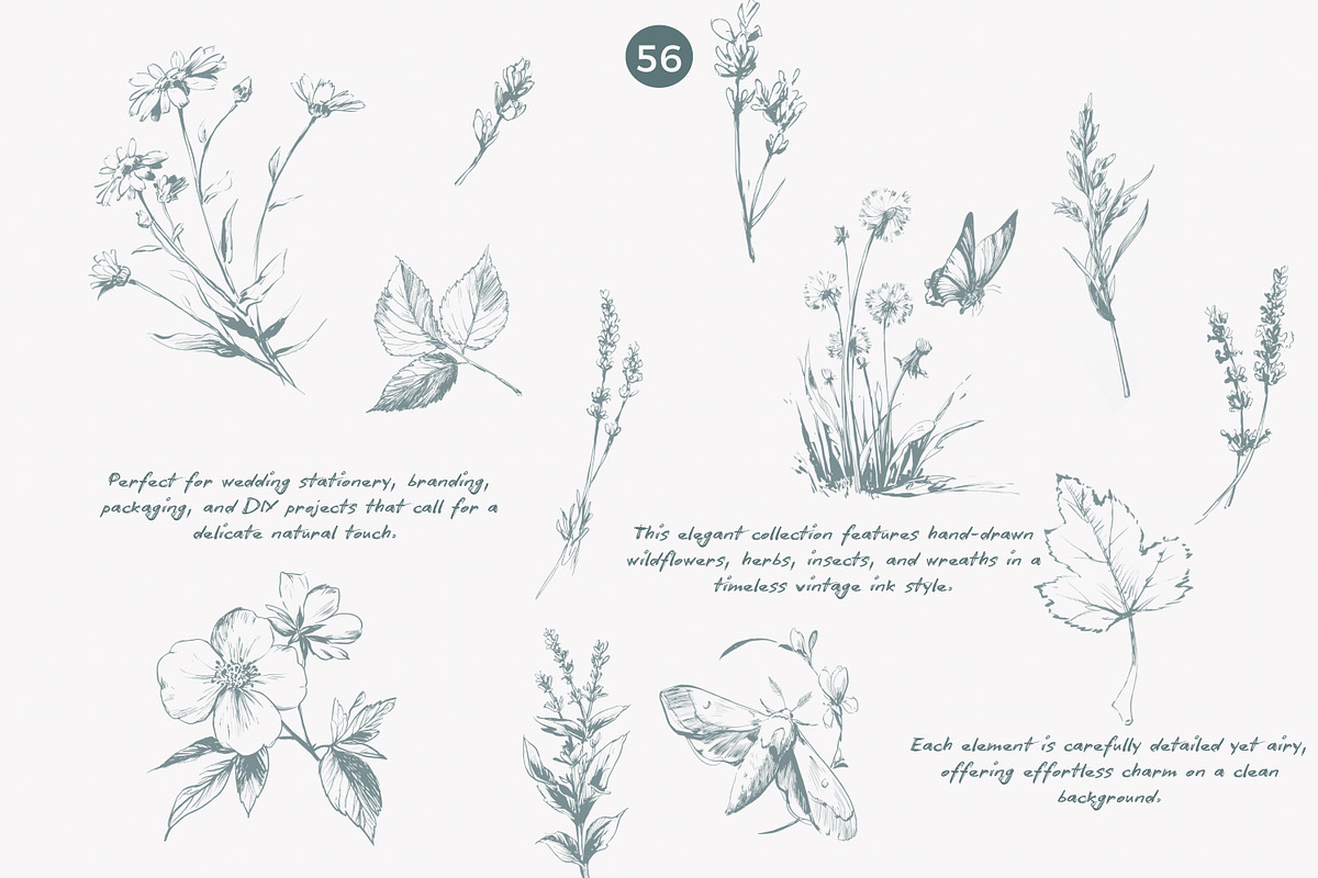 vintage clipart ink illustration set, a Decorative Illustration by Patishop Art (Photo 5 of 9)