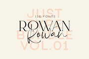 Just Type Bundle Vol.01 - 300 fonts, a Serif Font by VP Fonts (Thumbnail 6 of 19)