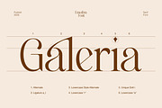 Emofera | Modern Serif Font, a Serif Font by The_Type (Thumbnail 4 of 12)