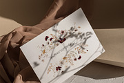 POPPY & BARLEY Autumn Wildflowers, a Seasonal Illustration by Muse Artist (Thumbnail 13 of 14)