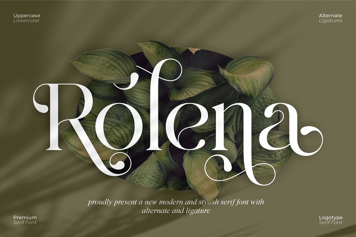 Rolena || Modern Serif Font, a Serif Font by Ermedia Studio (Photo 1 of 10)