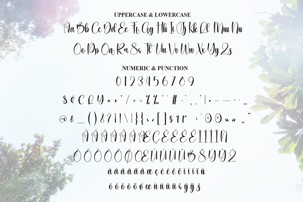 Wednesday | Script Font, a Handwritten Font by Scratchones (Photo 7 of 9)