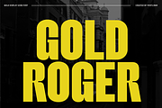 Gold Roger - Bold Condensed Font, a Sans Serif Font by Font Liner (Thumbnail 1 of 10)