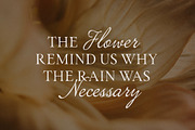 ED Costa Montesa - Handwritten Font, a Handwritten Font by Emyself Design (Thumbnail 7 of 12)