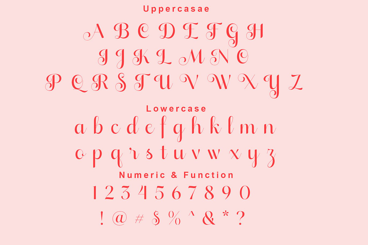 Quietud Elegant Calligraphy Script, a Script Font by Luna Shop (Photo 2 of 5)