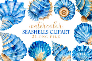 Watercolor Seashell Clipart, an Illustration by Libby Wishes