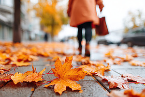 Person walking on sidewalk covered with fallen leaves in autumn, a Photo by AlyaAnd
