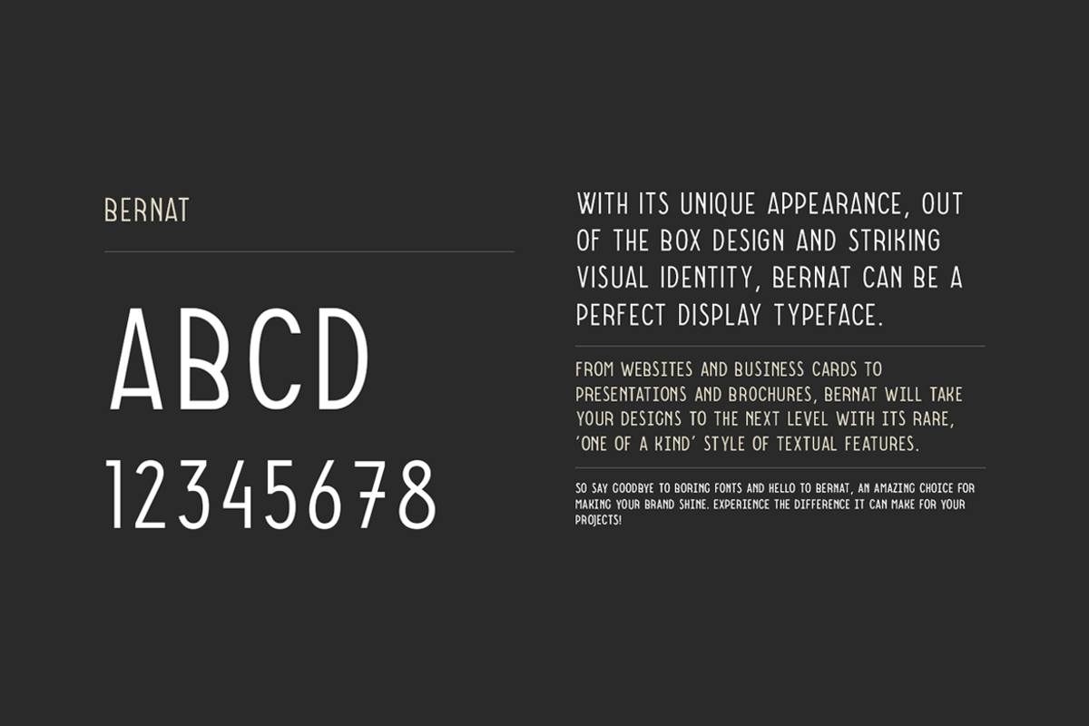 BERNAT - Unique Display Font, a Sans Serif Font by Designova® (Photo 6 of 10)