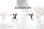 Bride | Script Font, a Handwritten Font by Scratchones (Thumbnail 8 of 9)