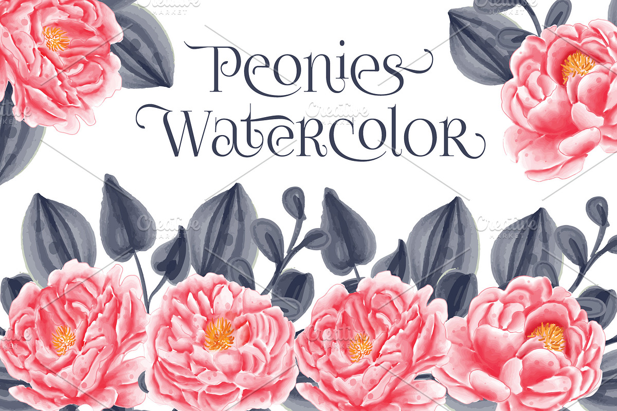 peonies watercolor set collection, an Object Graphic by Mariyana (Photo 1 of 4)