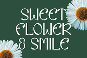 Eiclare Decorative Display Font, a Handwritten Font by Maulana Creative (Thumbnail 6 of 7)
