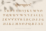 Vicky Christina Ligature Serif Font, a Serif Font by SilverStag Type Foundry (Thumbnail 21 of 25)