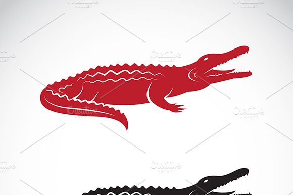 Vector Of Crocodile Design. Animals.