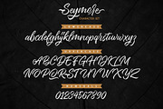 Seymore – Brush Script Font, a Script Font by Typefactoryco (Thumbnail 8 of 12)