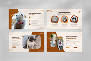 Puppypaw - Pet Care Keynote, a Presentation Template by SquidPixey (Thumbnail 4 of 7)