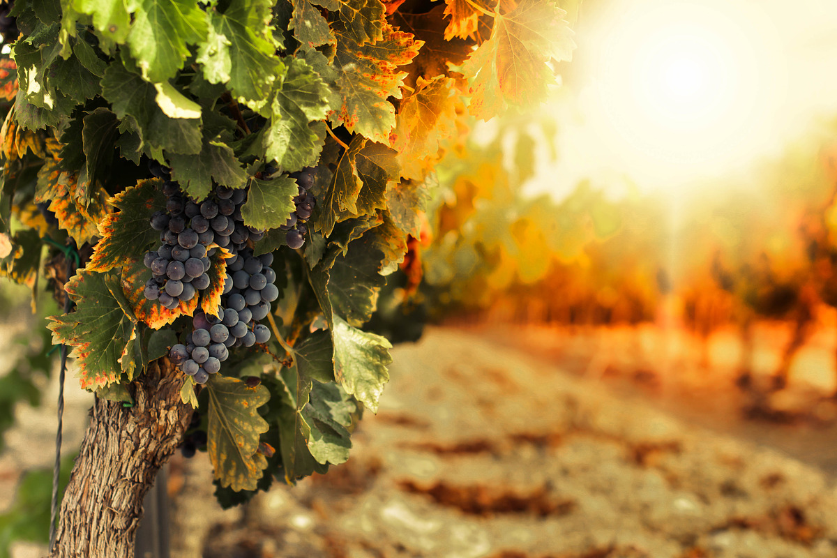 14 Landscape Sensation Presets, a Preset Add-On by Timeless Presets (Photo 5 of 13)
