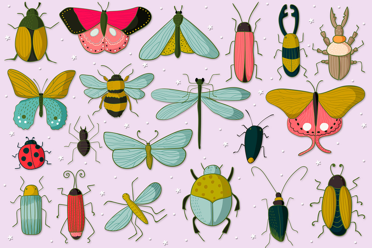 Insects and Bugs, an Illustration by clipick (Photo 2 of 5)