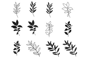 Leaf Set 2 Procreate Brush Stamps