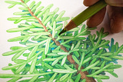 Winter Wonderland Clipart, a Seasonal Illustration by AnitaPol (Thumbnail 9 of 20)