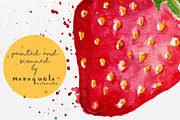 Watercolor Fruits ClipArt Pack, an Illustration by MaraquelaStudio (Thumbnail 6 of 6)