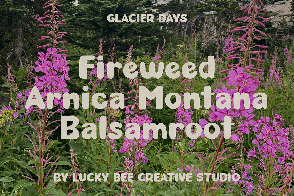 Glacier Days | Vintage, Playful Font, a Sans Serif Font by Lucky Bee Creative Studio (Photo 8 of 13)