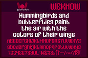 Garden Oracle Font, a Sans Serif Font by weknow (Thumbnail 4 of 8)