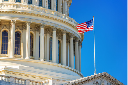 US Capitol and flag, Washington DC, an Architecture Photo by sborisov
