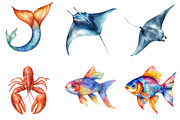Ocean Clipart, Underwater Clipart, an Illustration by Design Market (Thumbnail 2 of 4)